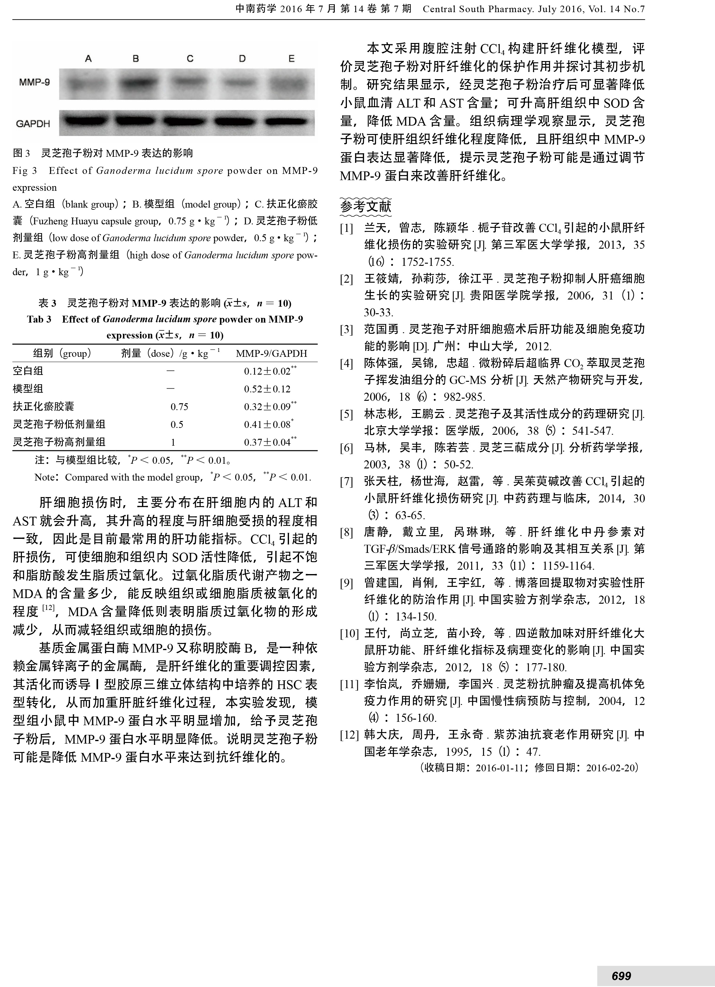 221 灵芝孢子粉保护CCl_4引起的小鼠肝纤维化损伤的实验研究-4.jpg